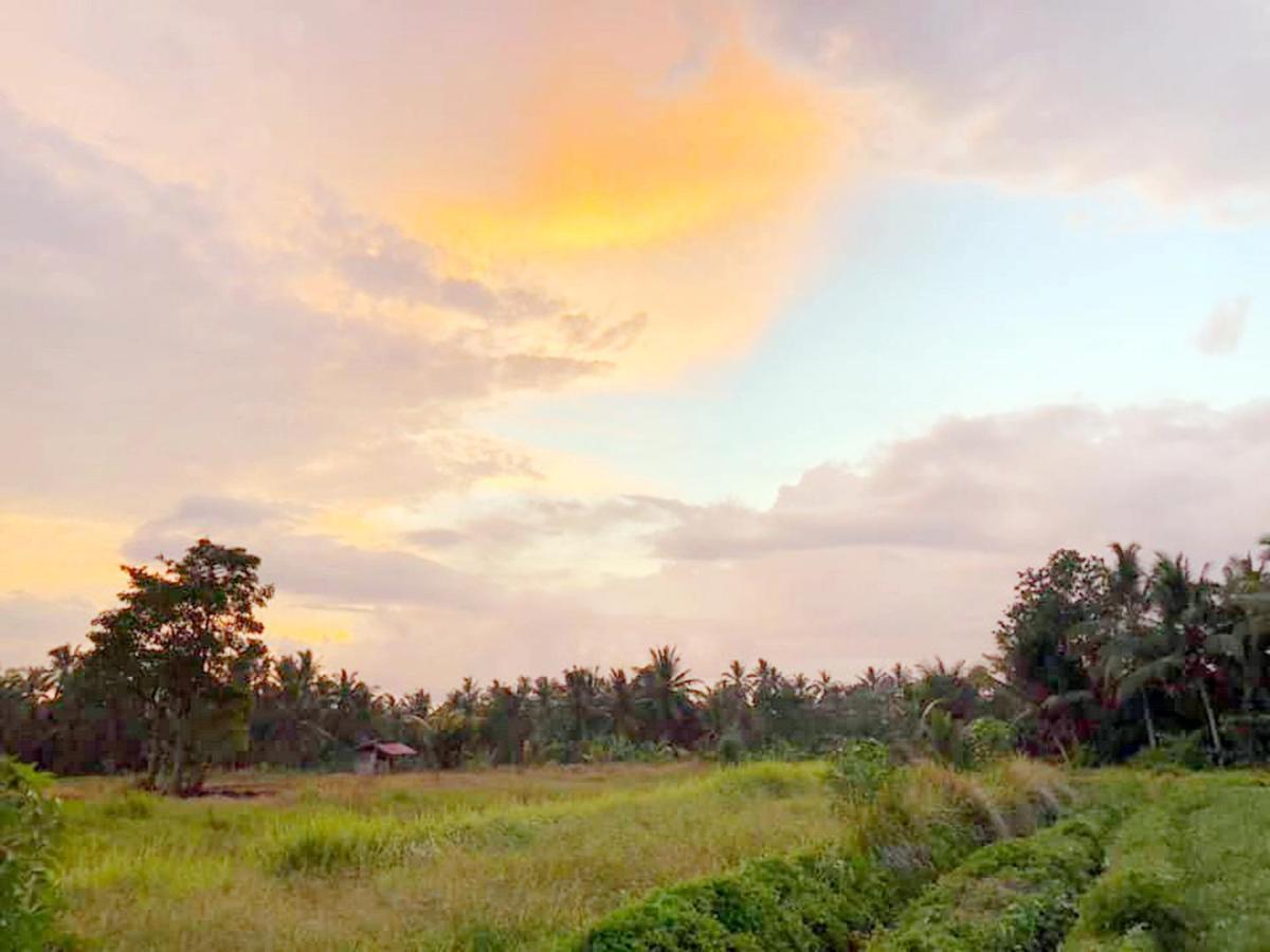 Shivananda Antique Villas By Eps Ubud Zewnętrze zdjęcie