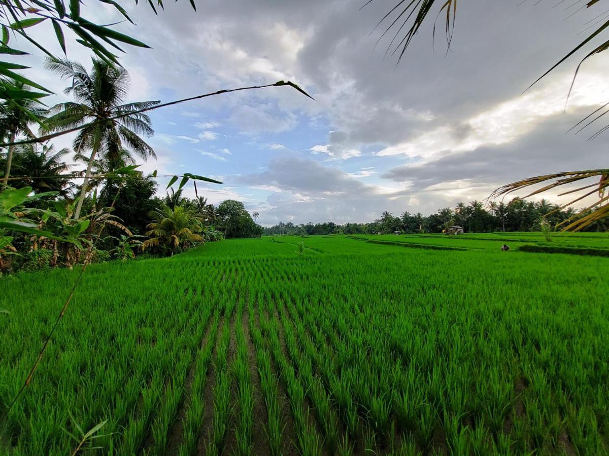 Shivananda Antique Villas By Eps Ubud Zewnętrze zdjęcie